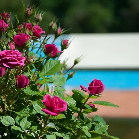 Casa Del Merlo Holiday home Sant'Andrea di Compito